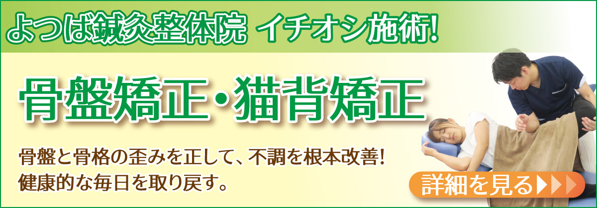 骨盤矯正。猫背矯正