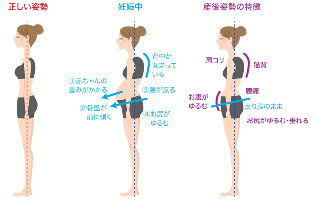 姿勢の図