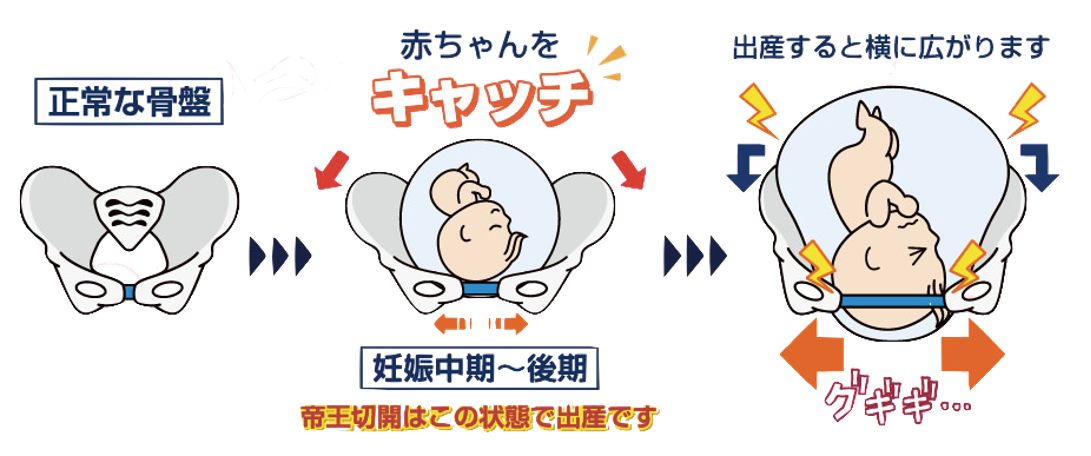 妊娠中の様子